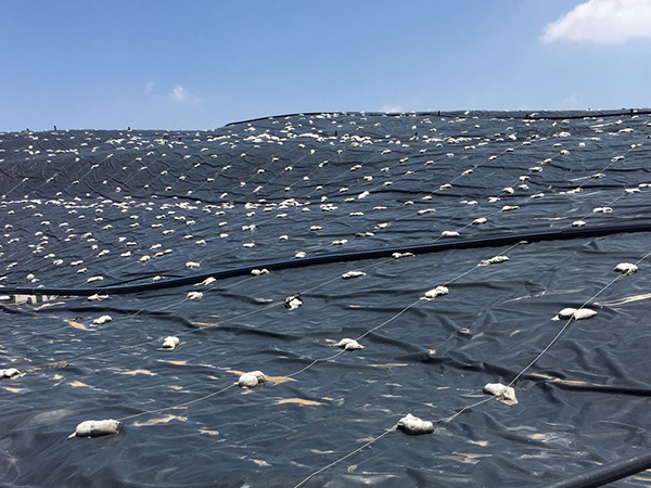 非常規(guī)溫度下的防滲土工膜該如何鋪設(shè)？